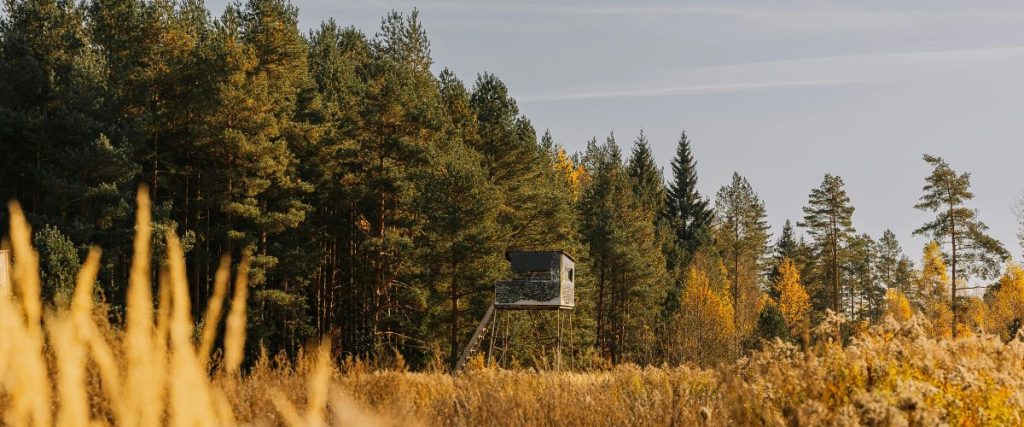 field - Deer Blind field - Deer Blind